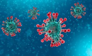 Web monográfica del Gobierno de Navarra sobre el coronavirus COVID-19